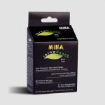 Mina Brow Henna Regular Kit - Black